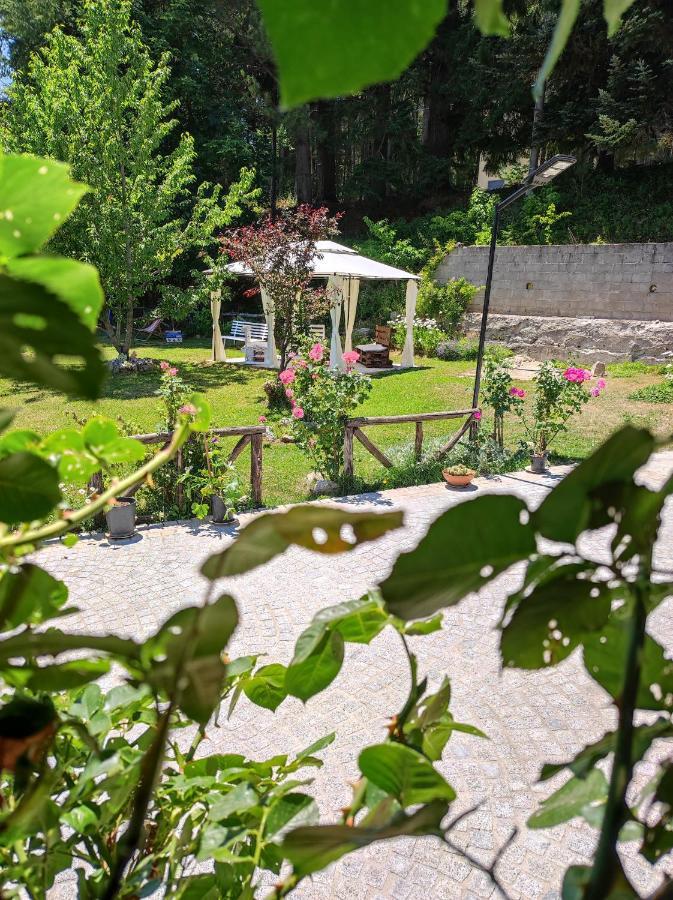 Guest House Caracas Лорика Экстерьер фото