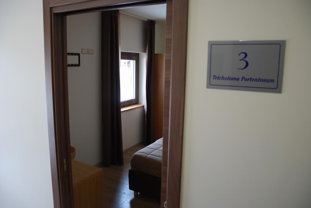 Guest House Caracas Лорика Экстерьер фото