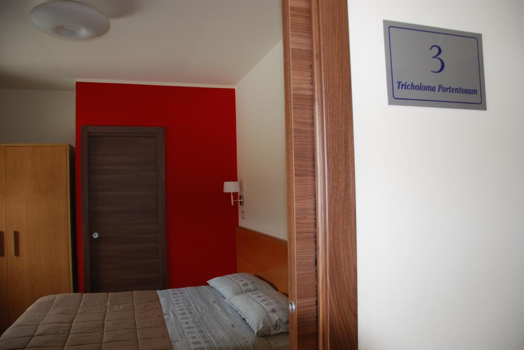 Guest House Caracas Лорика Экстерьер фото