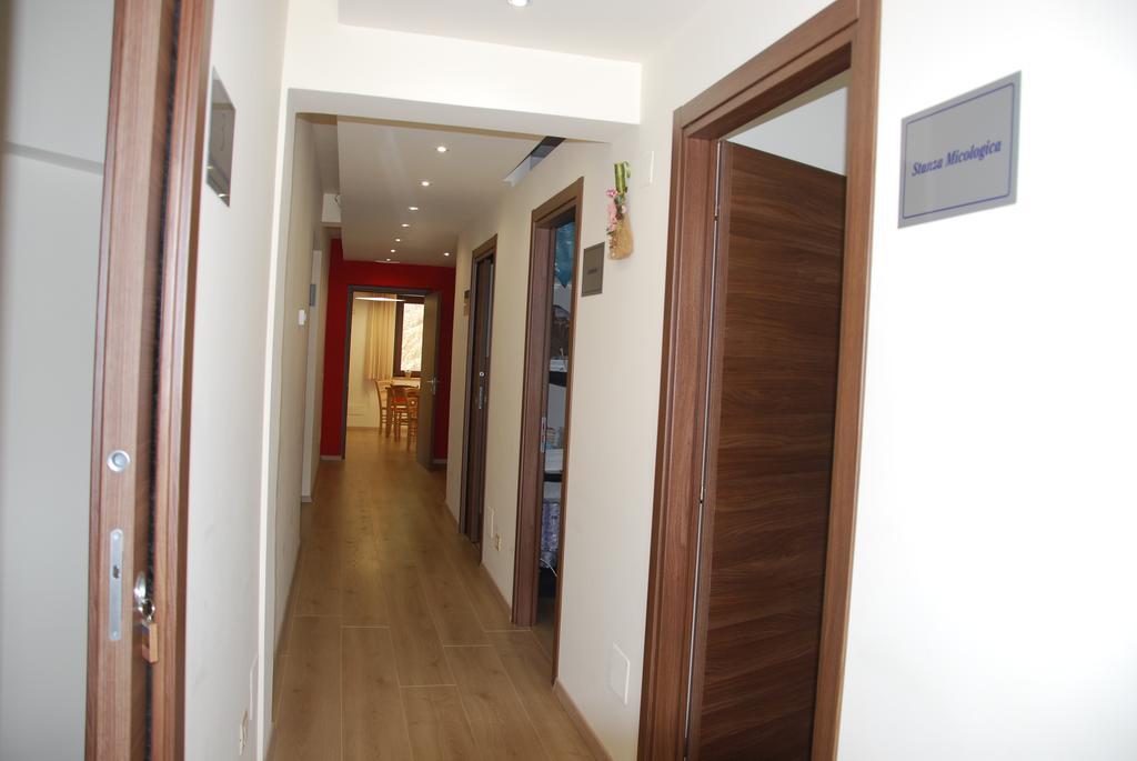 Guest House Caracas Лорика Экстерьер фото